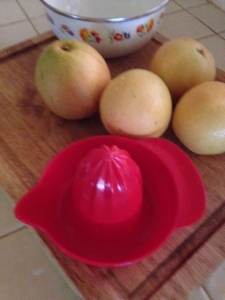 Fresh grapefruit and a juicer--just wait--yum!